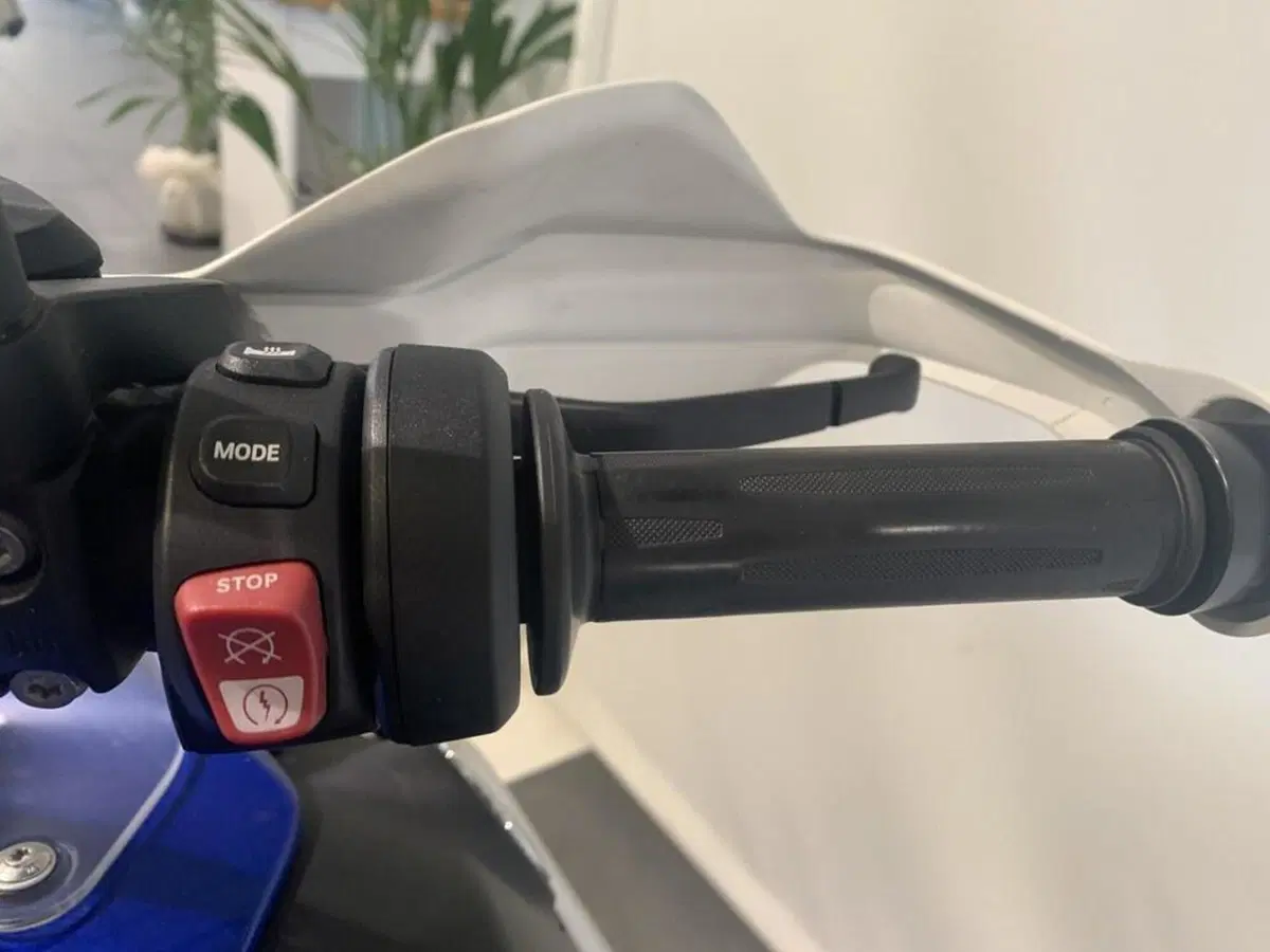 Bmw R 1250 GS Adventure (2019 - 20) (14)