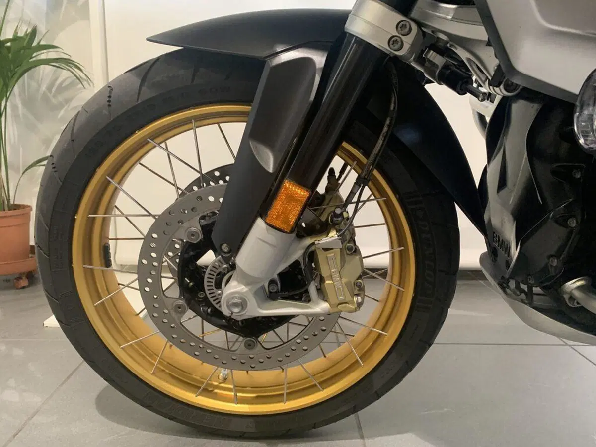 Bmw R 1250 GS Adventure (2019 - 20) (6)