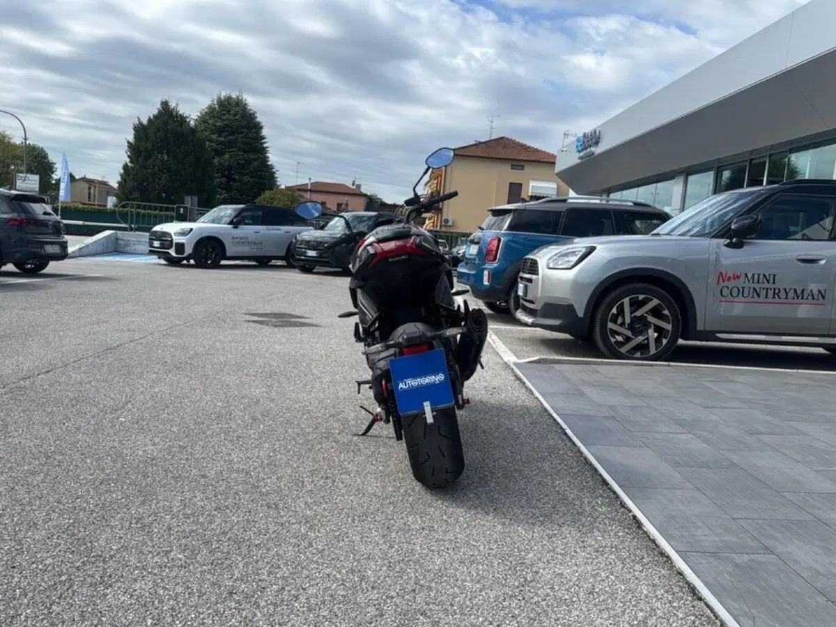 Suzuki Katana 1000 (2019 - 20) (6)