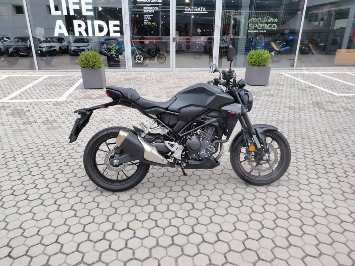 Honda CB 300 R (2022 - 26) (8)