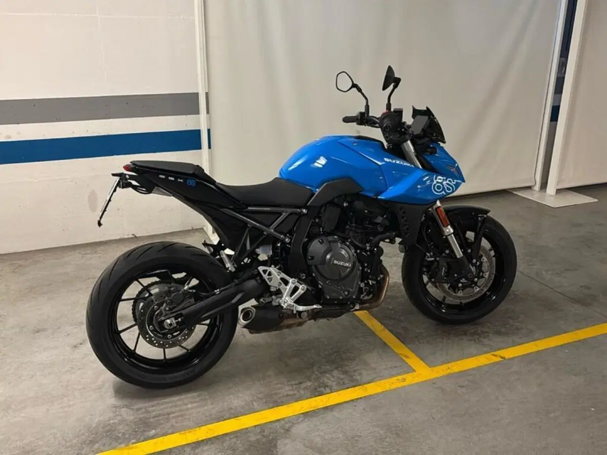 Suzuki GSX-8S (2023 - 24) (5)