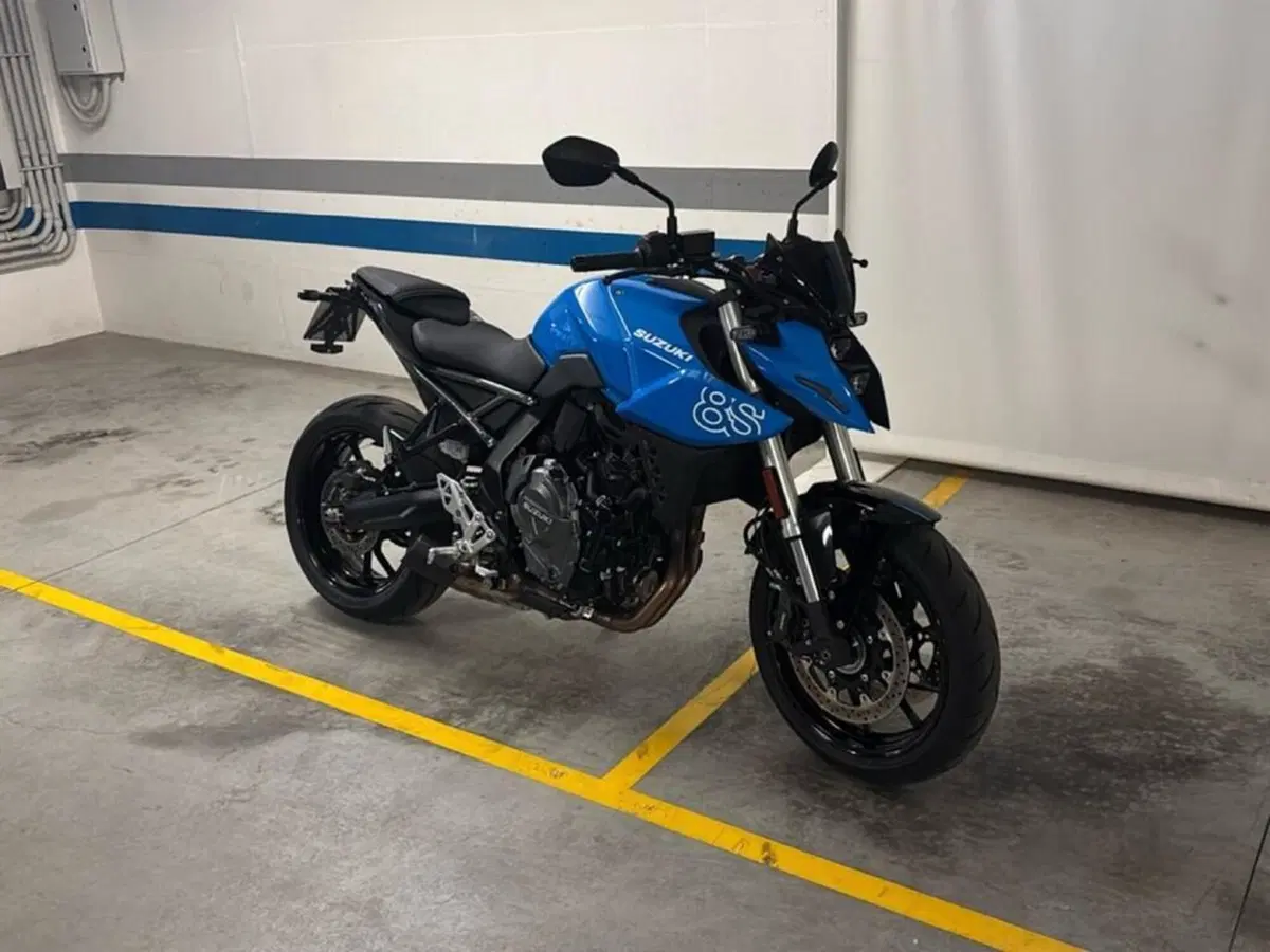 Suzuki GSX-8S (2023 - 24) (3)