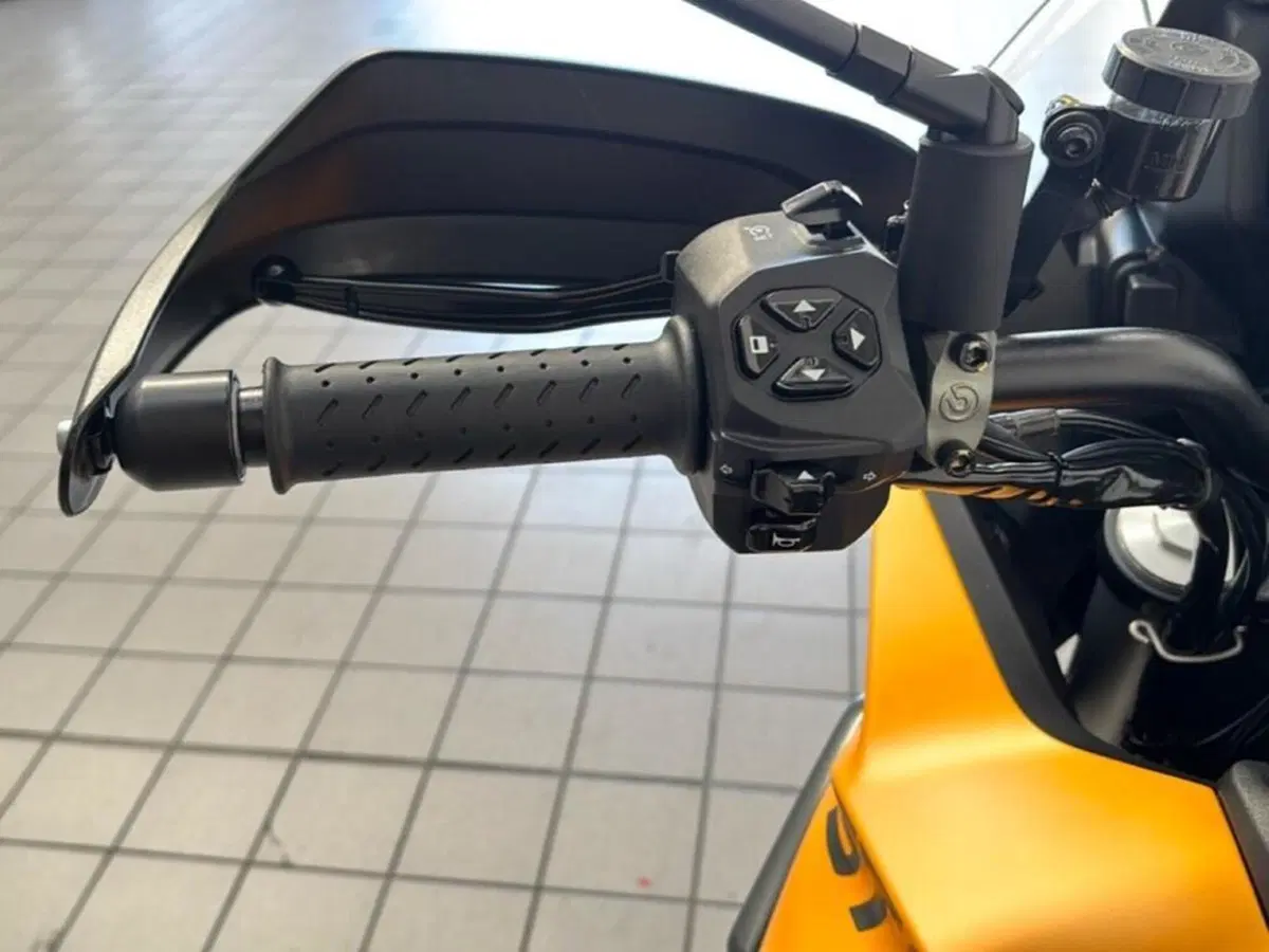 Moto Guzzi Stelvio (2024 - 26) (9)