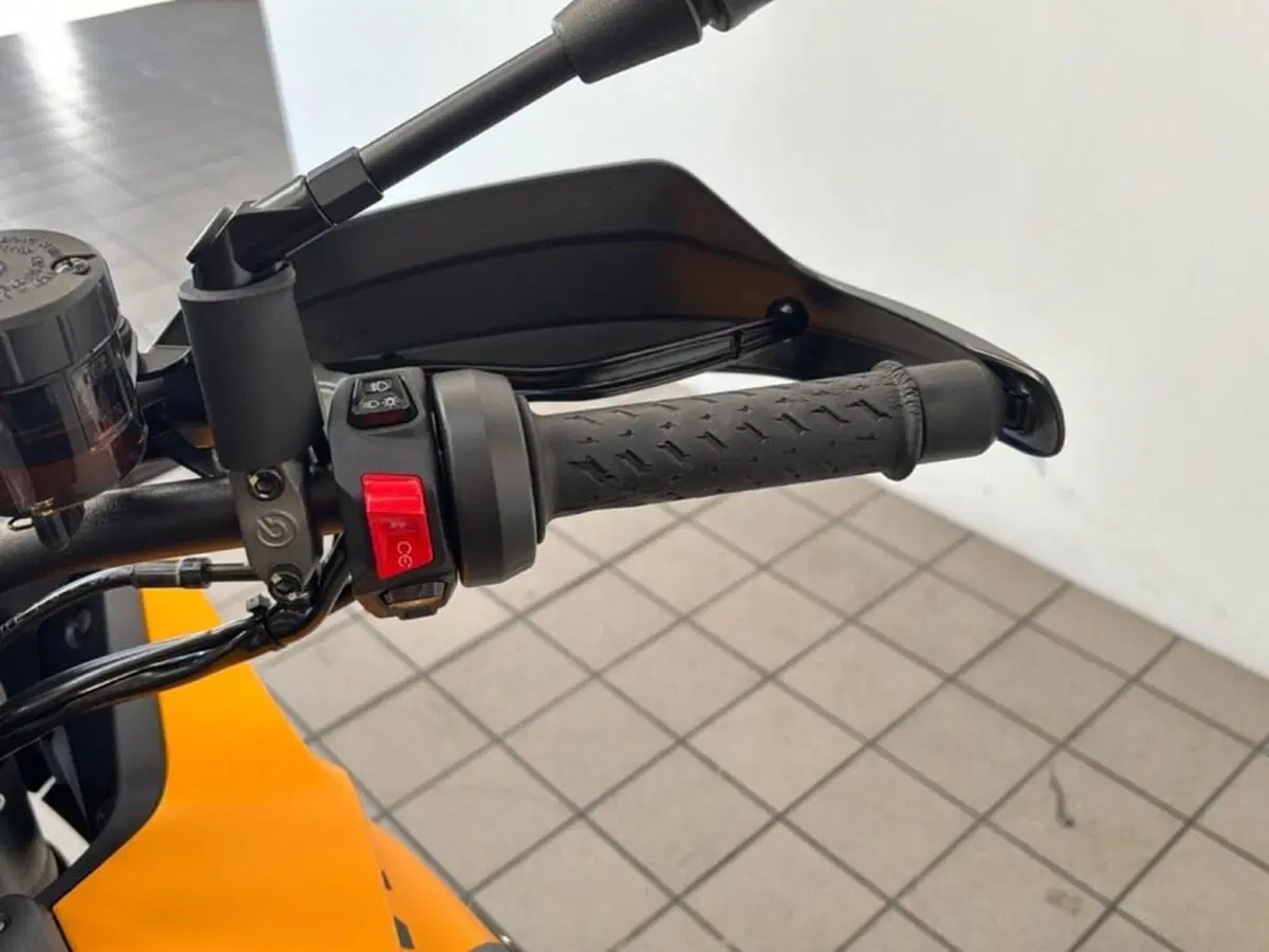 Moto Guzzi Stelvio (2024 - 26) (10)