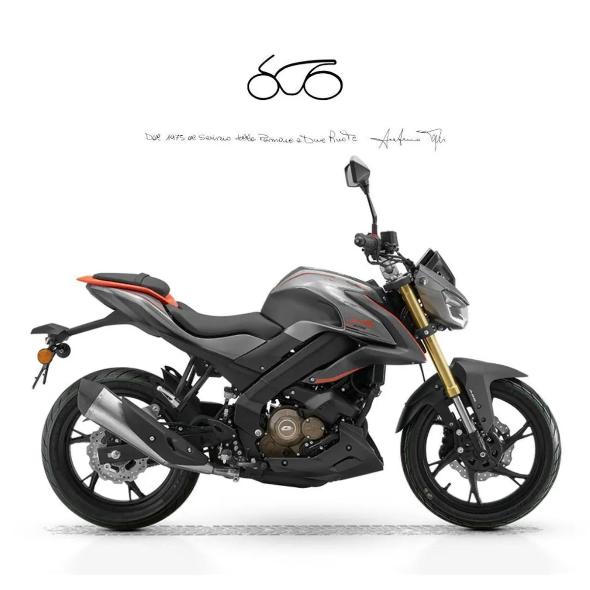 QJ Motor SRK 125 S (2025 - 26)