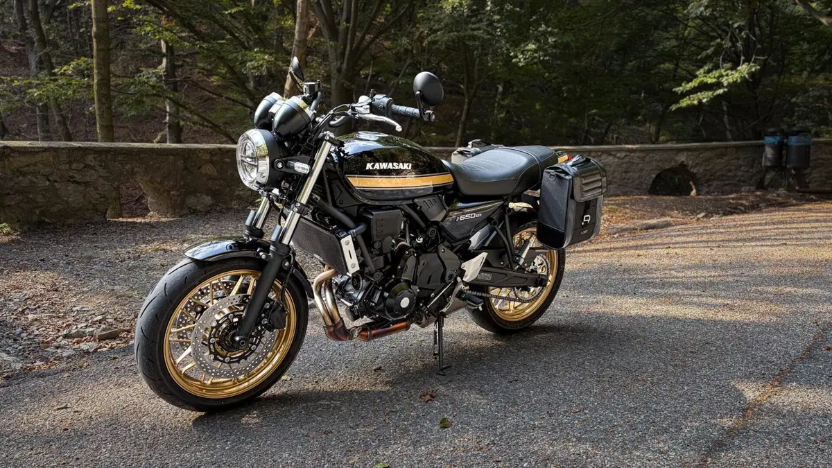 Kawasaki Z 650 RS (2025 - 26) (2)