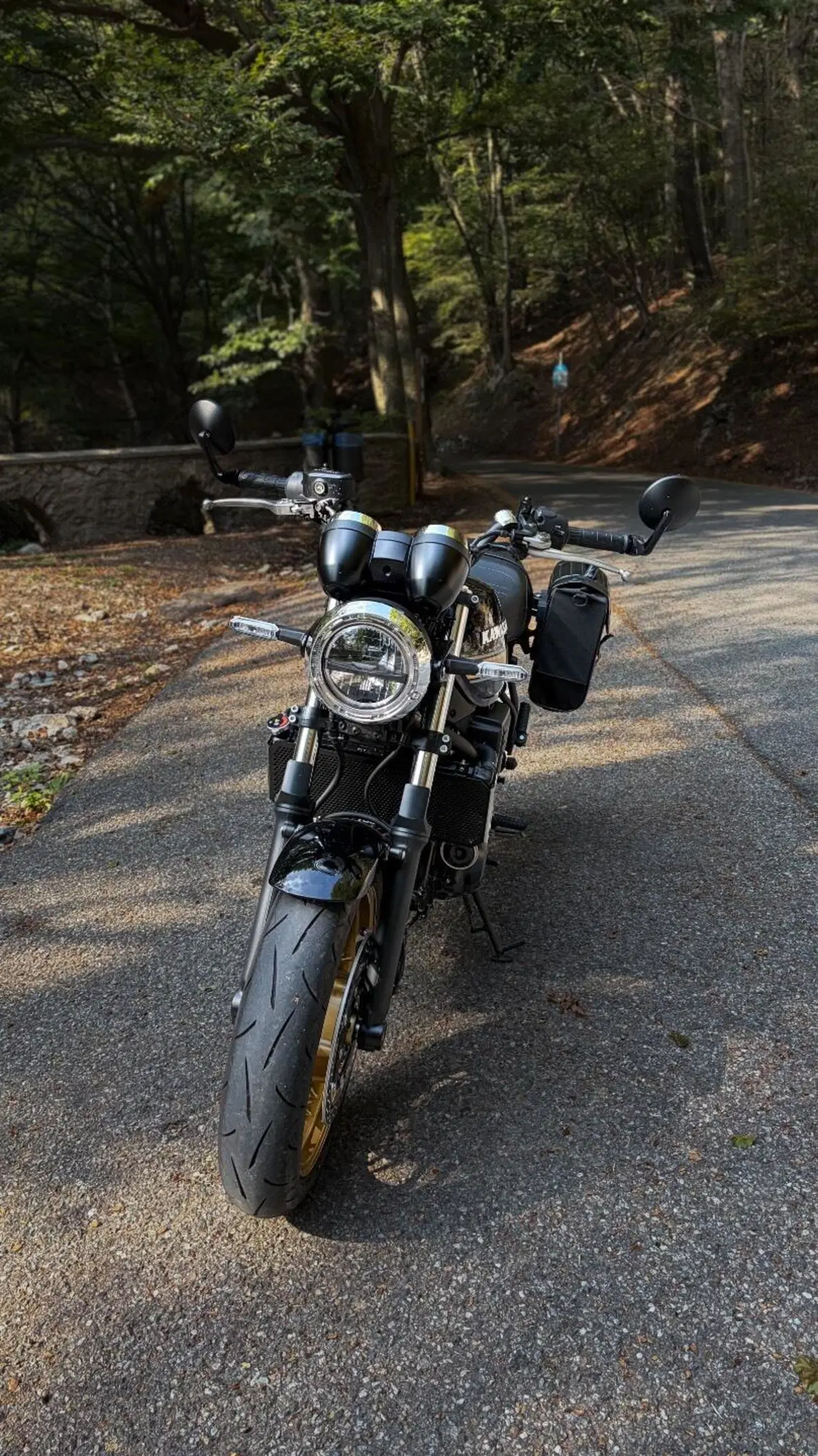 Kawasaki Z 650 RS (2025 - 26) (3)