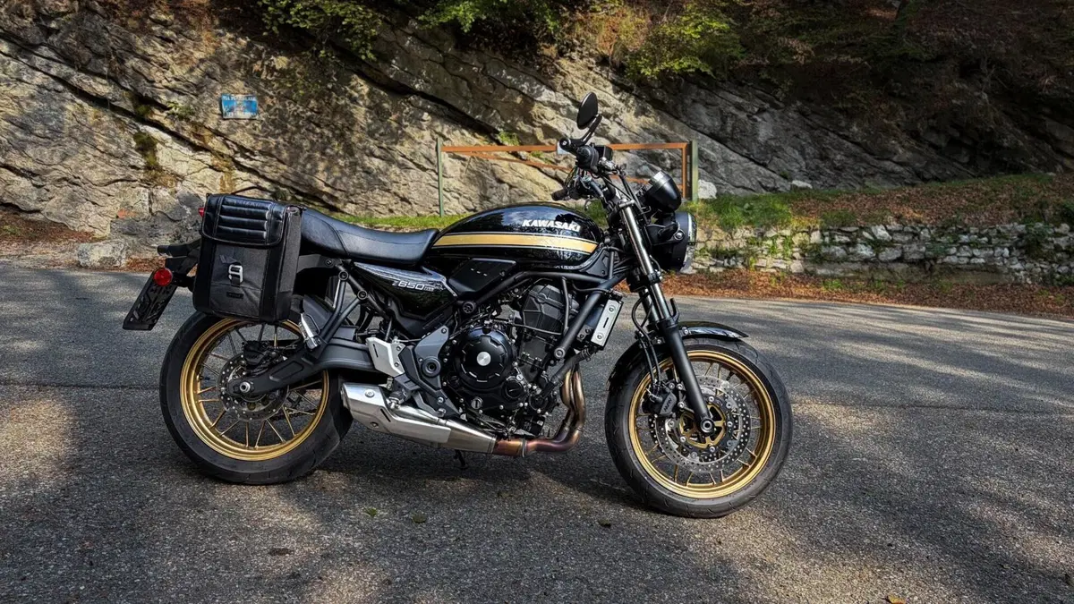 Kawasaki Z 650 RS (2025 - 26) (4)