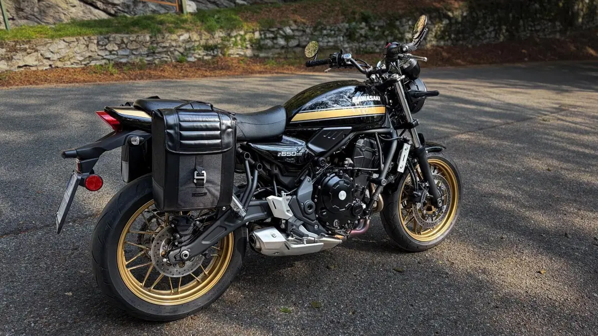 Kawasaki Z 650 RS (2025 - 26) (5)