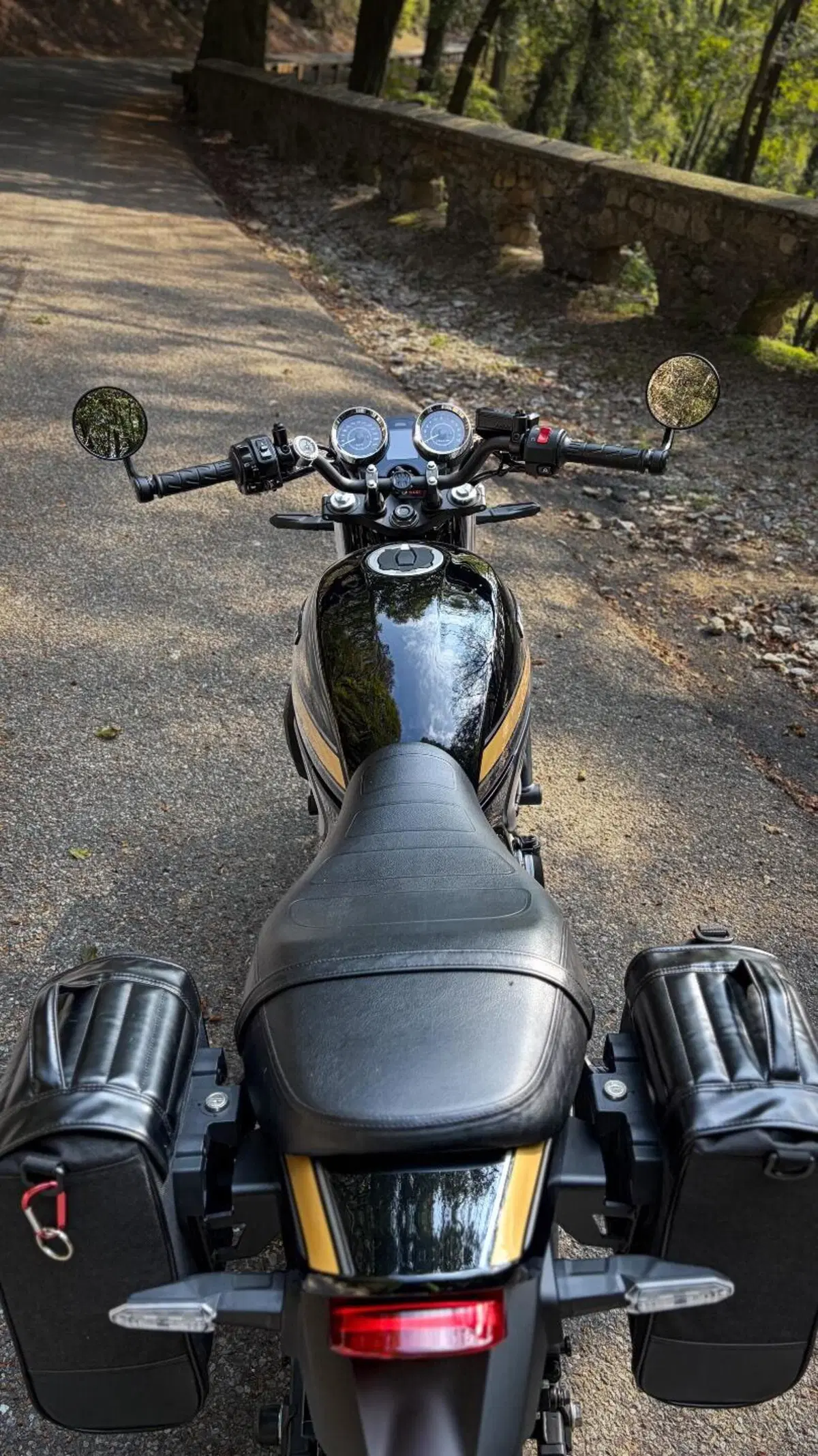 Kawasaki Z 650 RS (2025 - 26) (6)