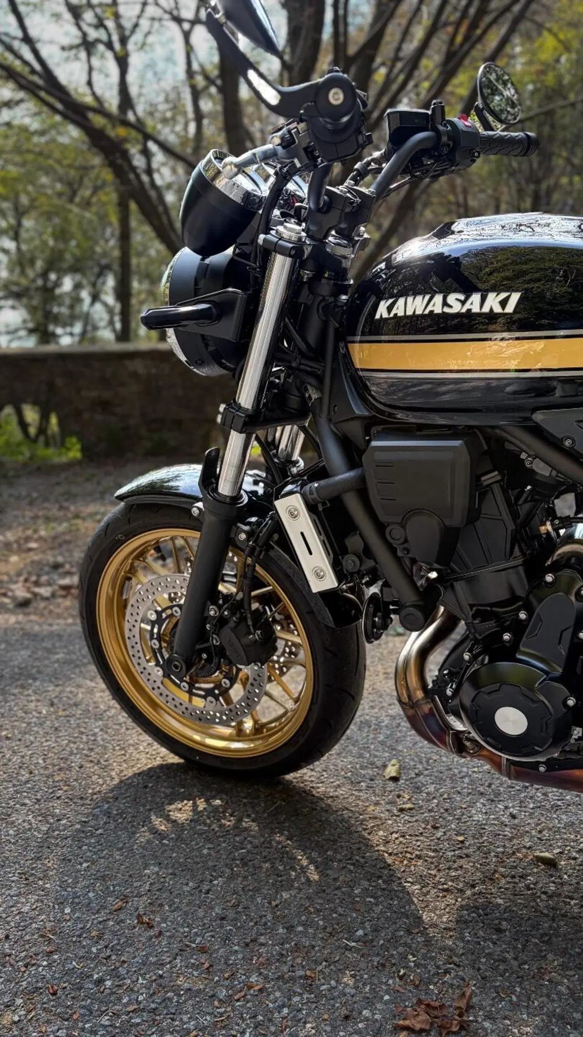 Kawasaki Z 650 RS (2025 - 26) (8)