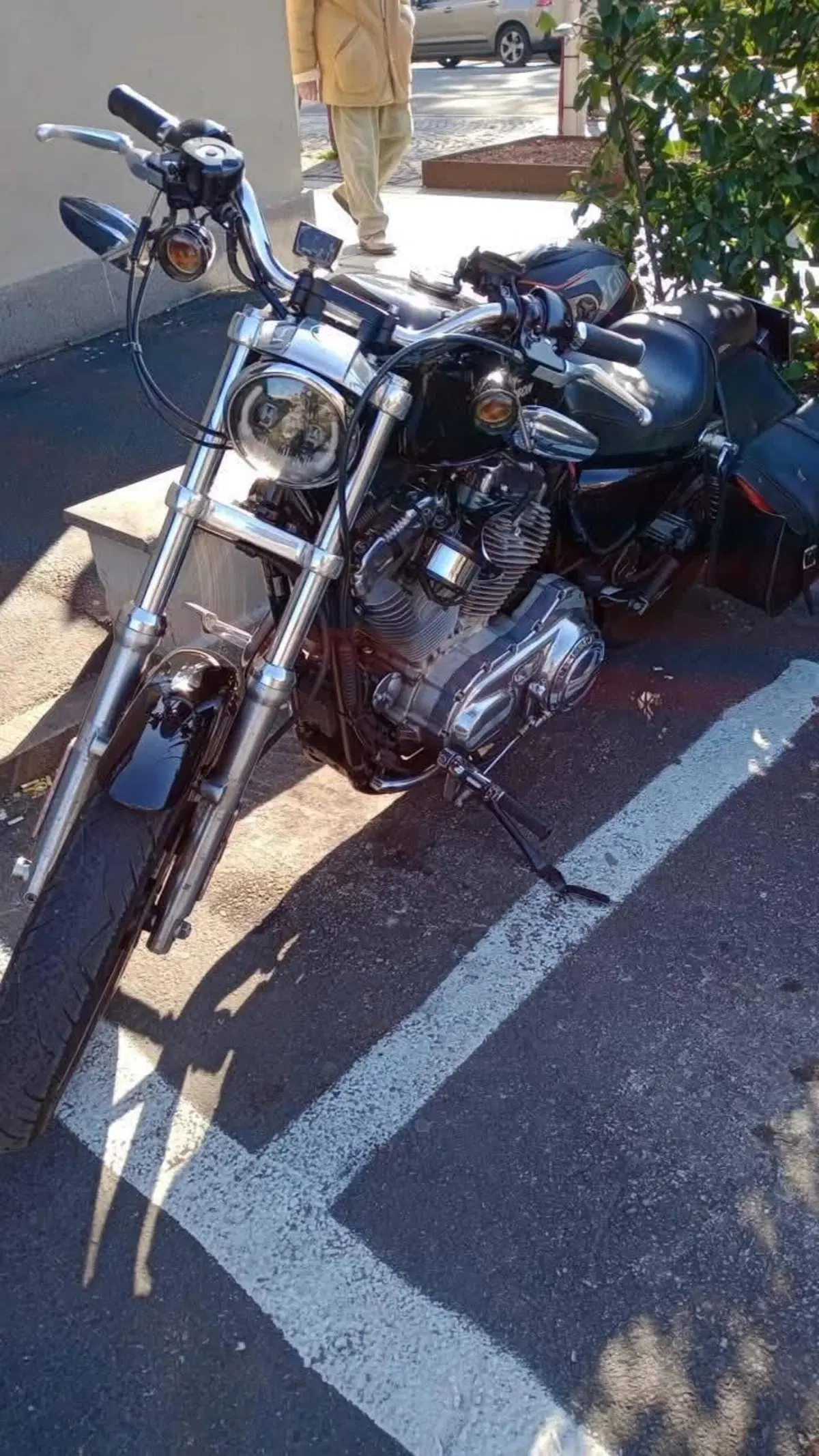 Harley-Davidson 883 Low (2006 - 07) - XL 883L (5)