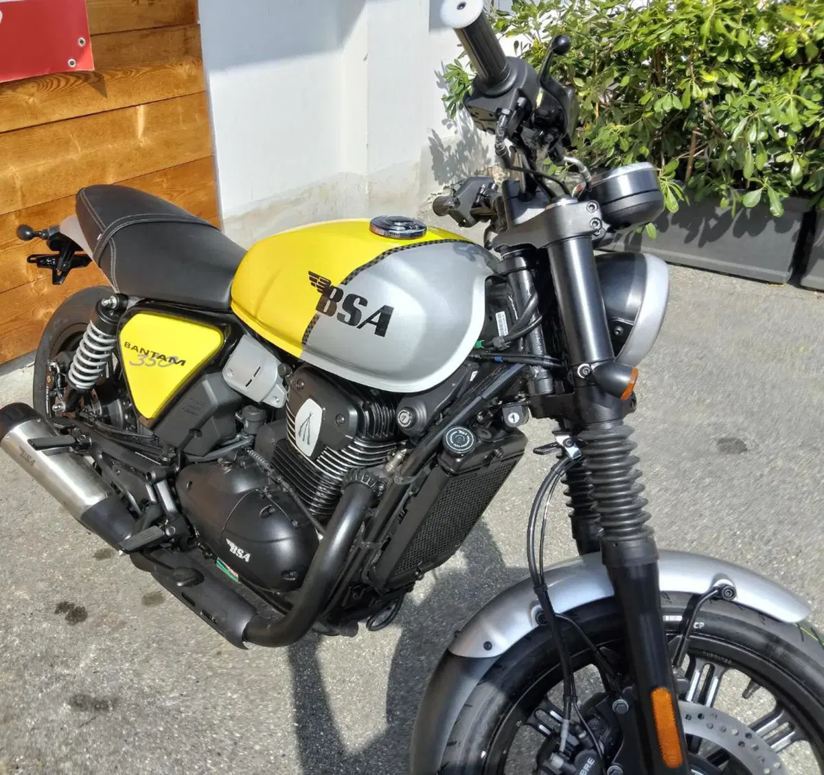 Bsa Bantam 350 (2025 - 26) (5)