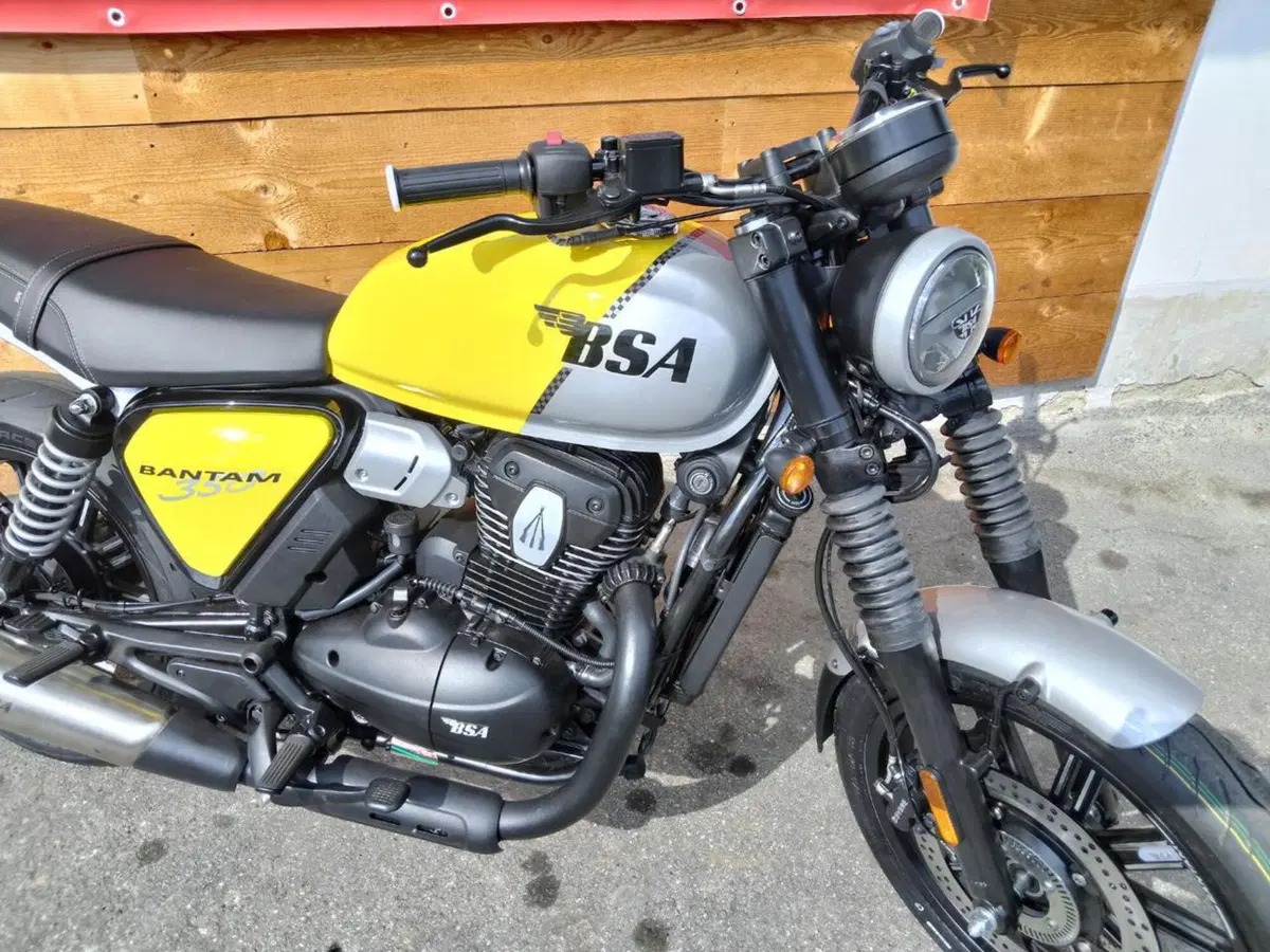 Bsa Bantam 350 (2025 - 26) (7)