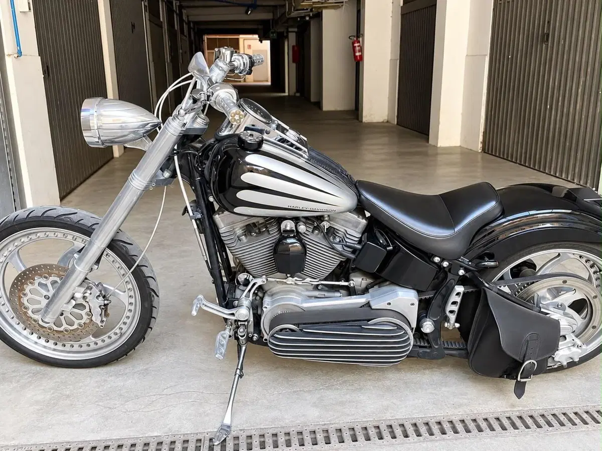 Harley-Davidson 1450 Standard (1999 - 01) - FXSTS (3)