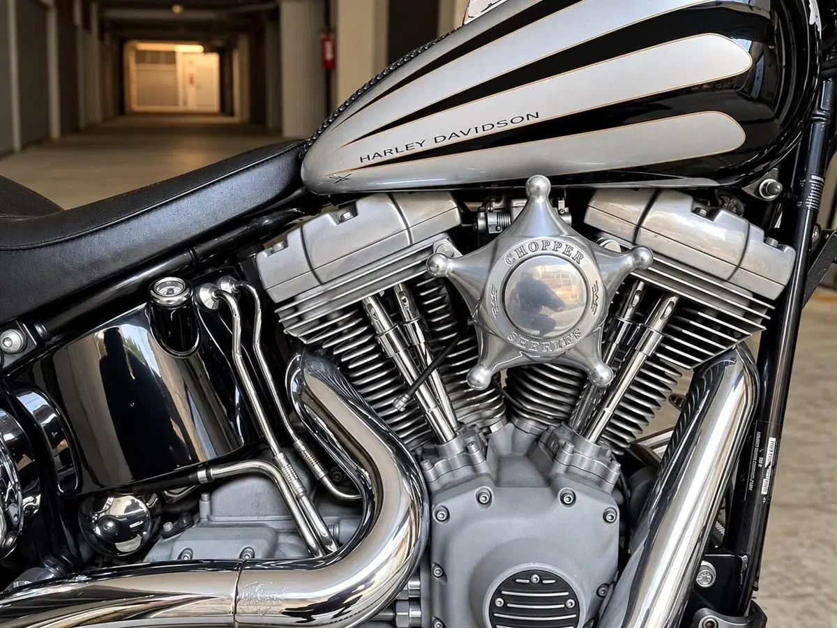 Harley-Davidson 1450 Standard (1999 - 01) - FXSTS (5)