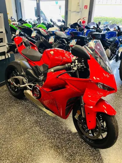 Ducati Panigale V4 (2025 - 26) usata