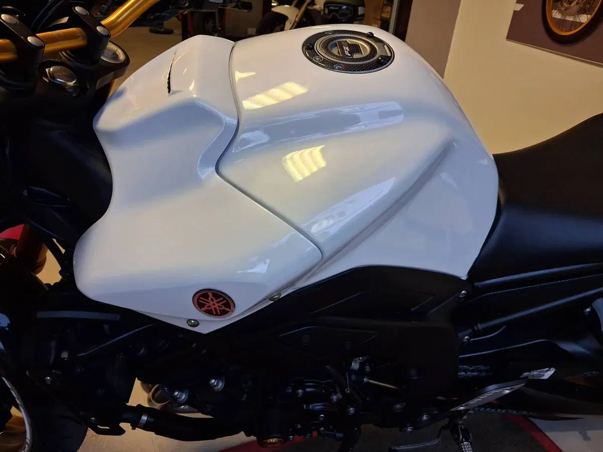 Yamaha FZ8 (2010 - 12) (4)