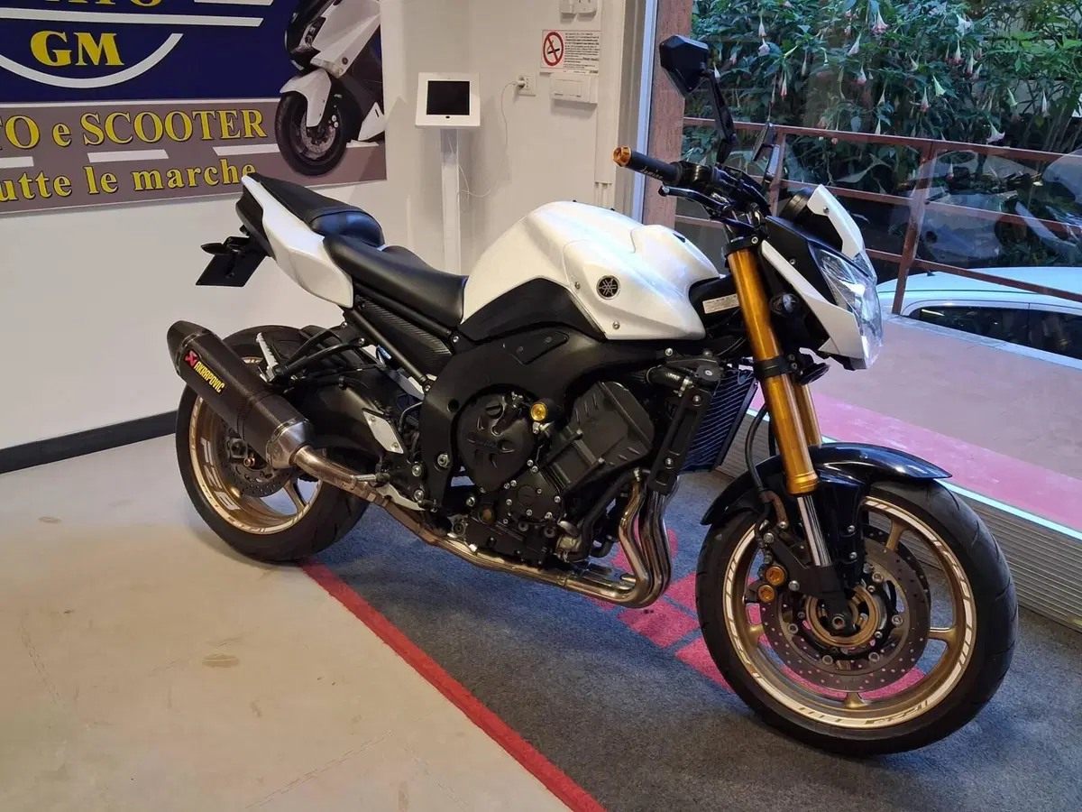 Yamaha FZ8 (2010 - 12) (9)