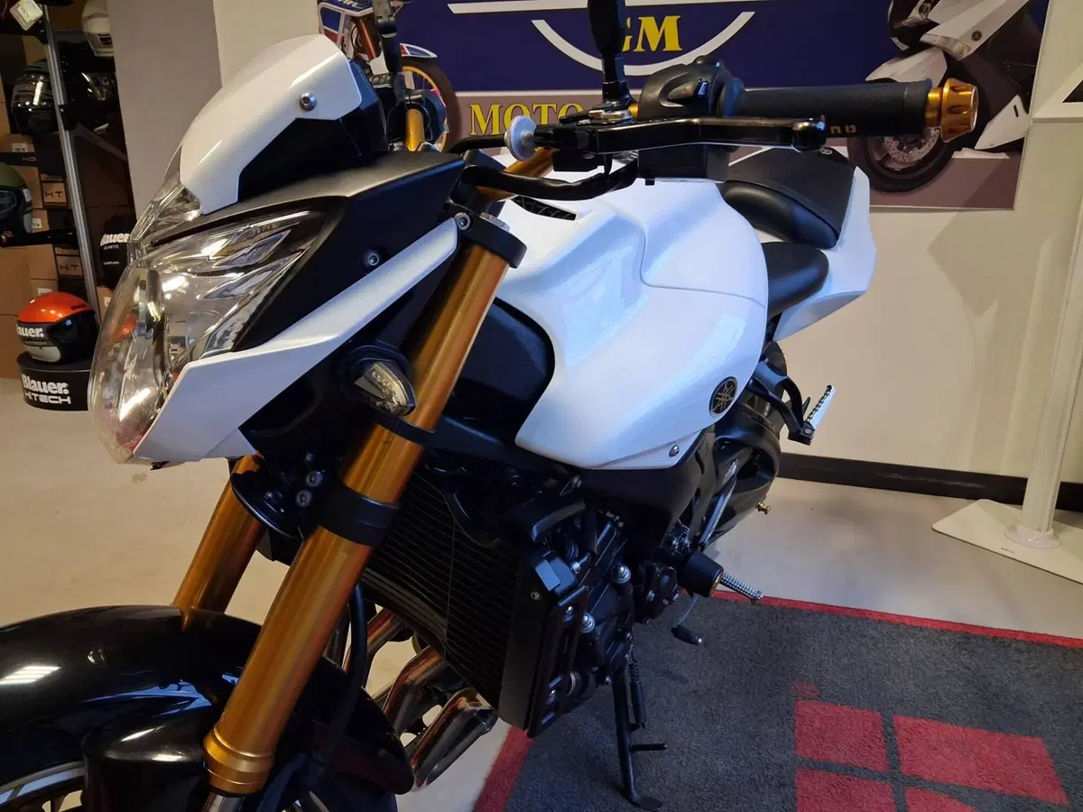 Yamaha FZ8 (2010 - 12) (11)