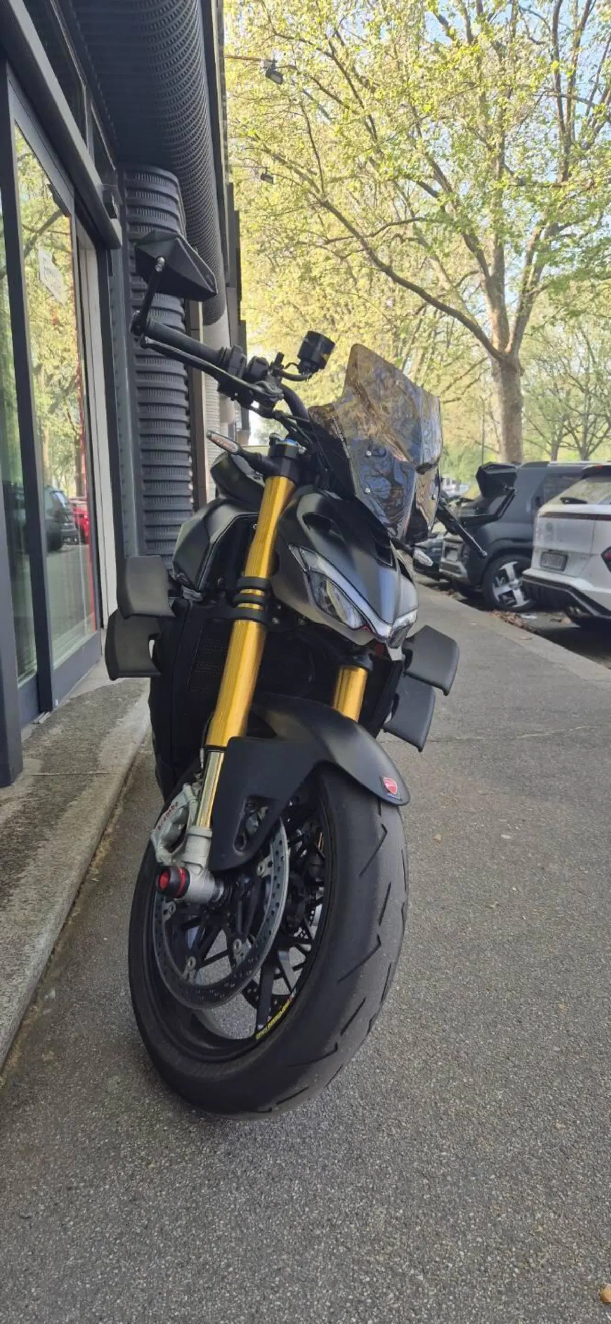 Ducati Streetfighter V4 1100 S (2021 - 22) (3)
