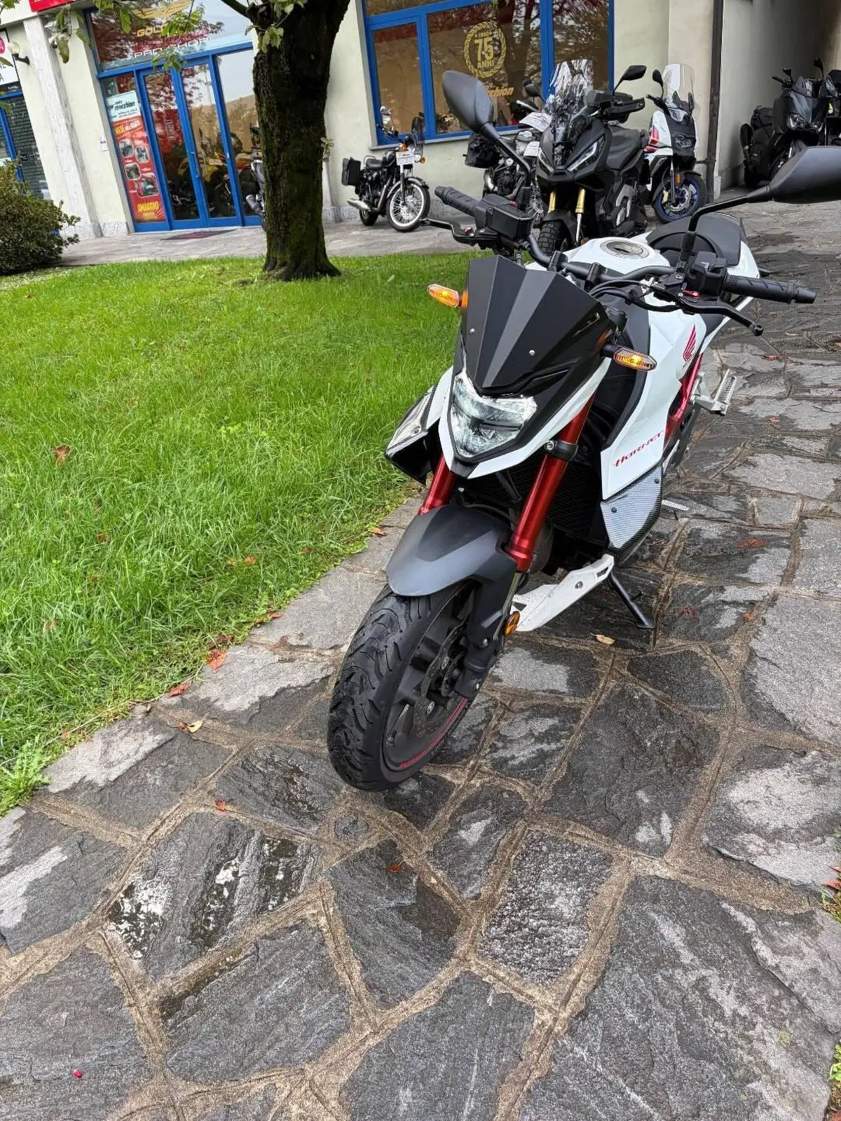 Honda CB 750 Hornet (2023 - 24) (5)