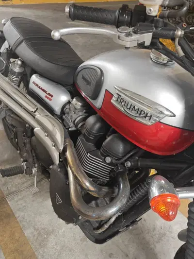 Triumph Scrambler (2006 - 17) usata