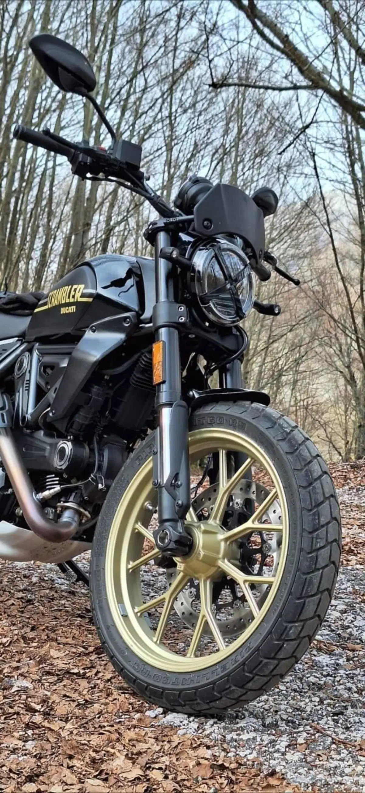 Ducati Scrambler 800 Full Throttle (2025 - 26) (4)