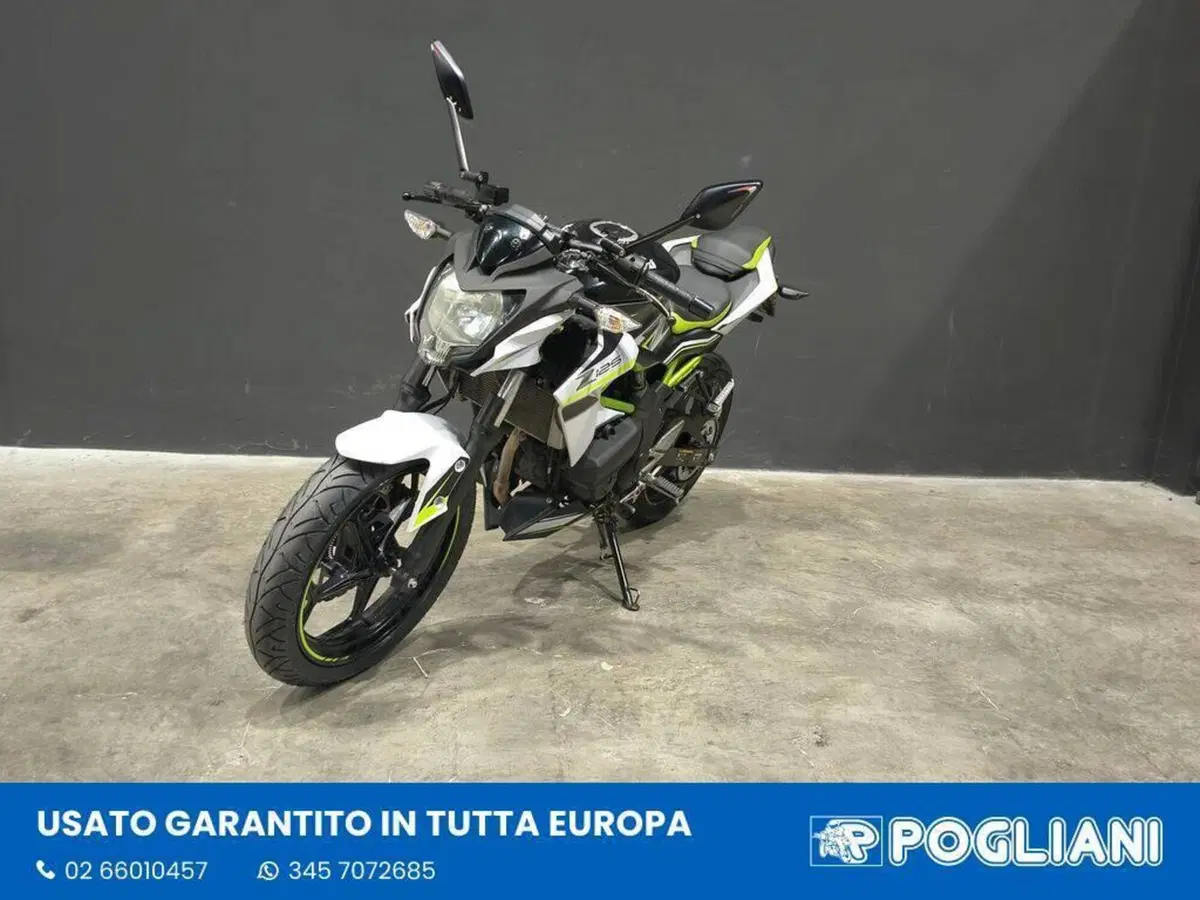 Kawasaki Z 125 (2021 - 24) (4)
