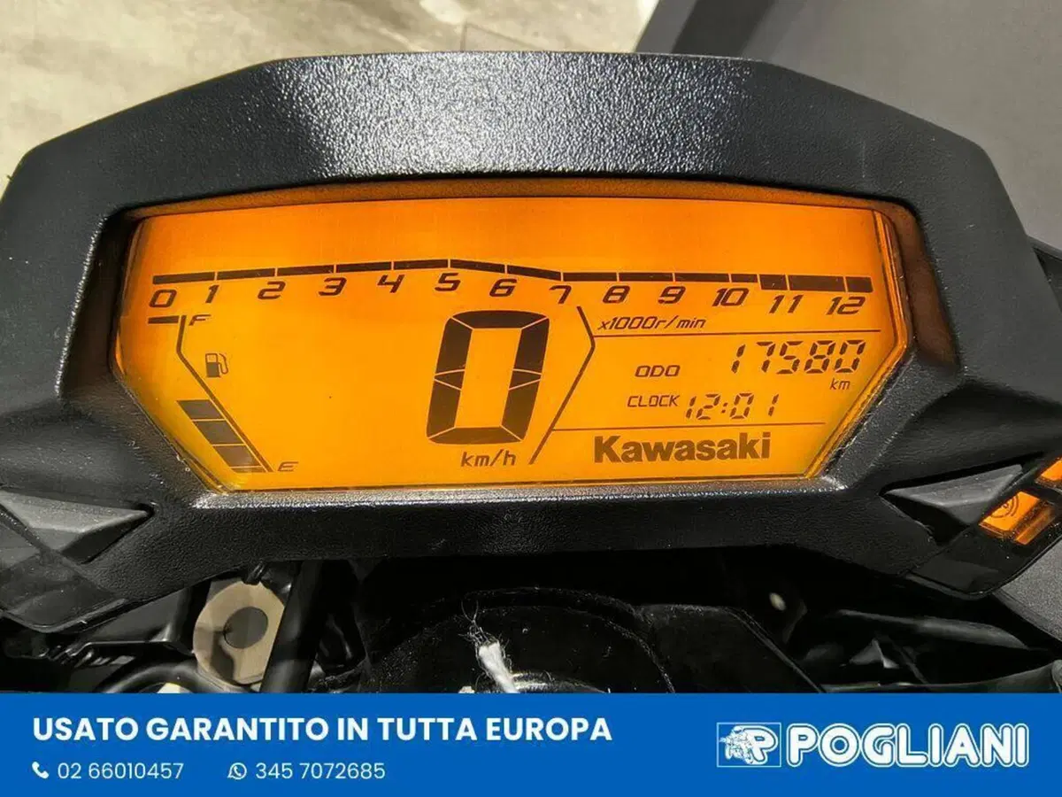 Kawasaki Z 125 (2021 - 24) (10)