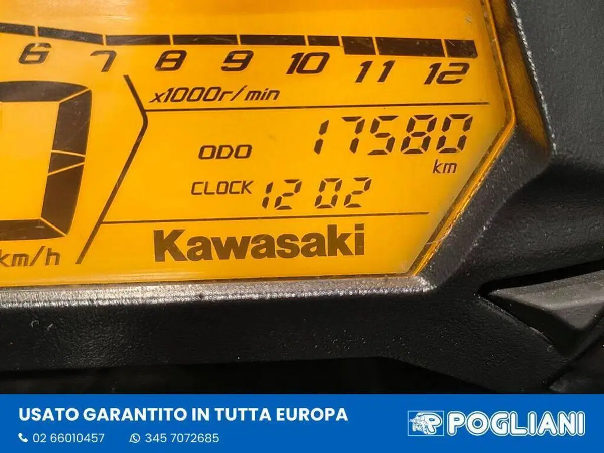 Kawasaki Z 125 (2021 - 24) (11)
