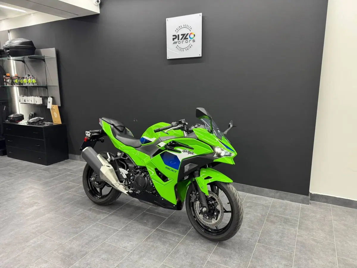 Kawasaki Ninja 500 SE (2024 - 26) (2)