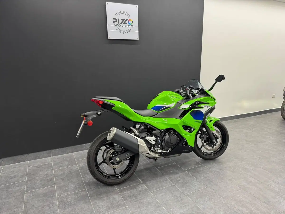 Kawasaki Ninja 500 SE (2024 - 26) (3)