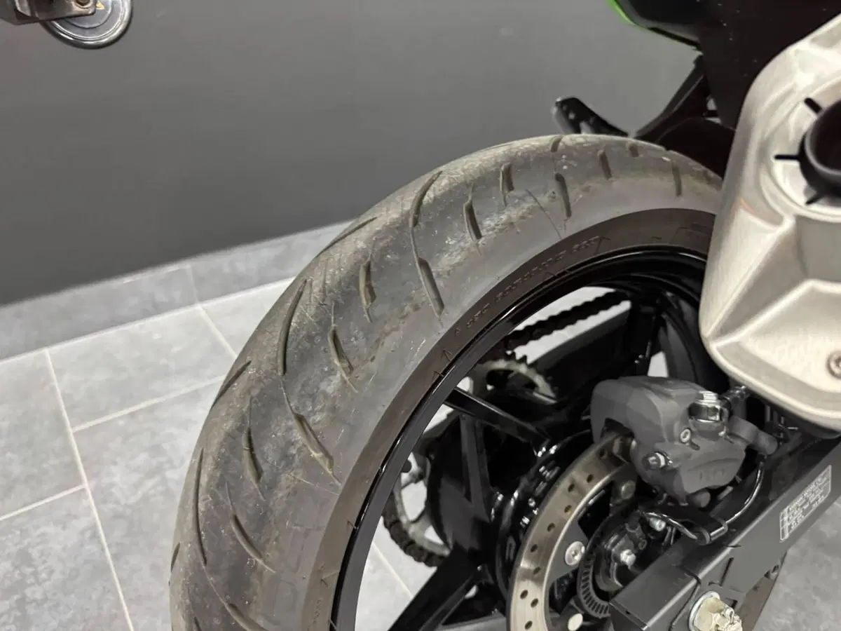 Kawasaki Ninja 500 SE (2024 - 26) (6)
