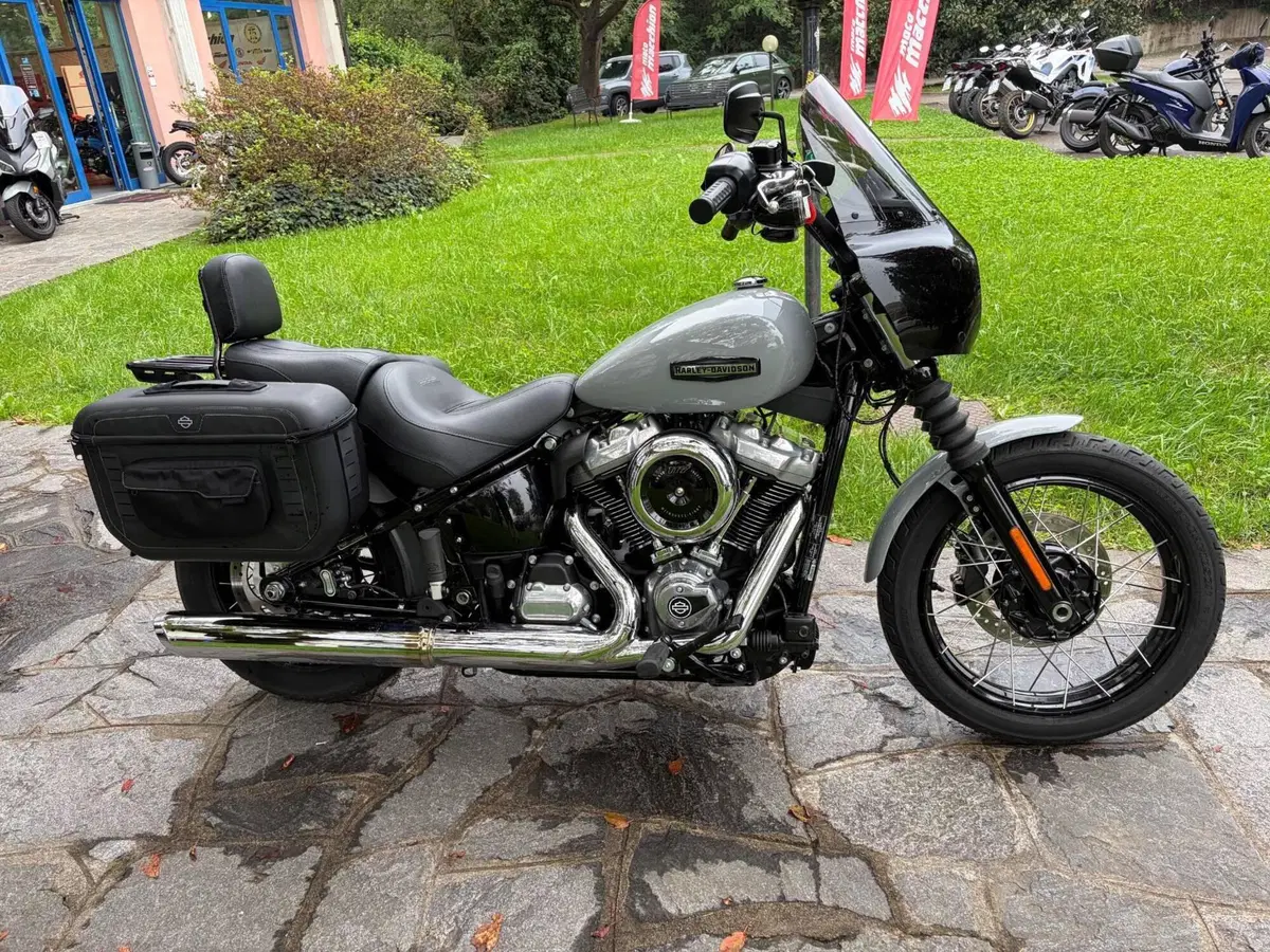 Harley-Davidson Street Bob 117 (2025 - 26)