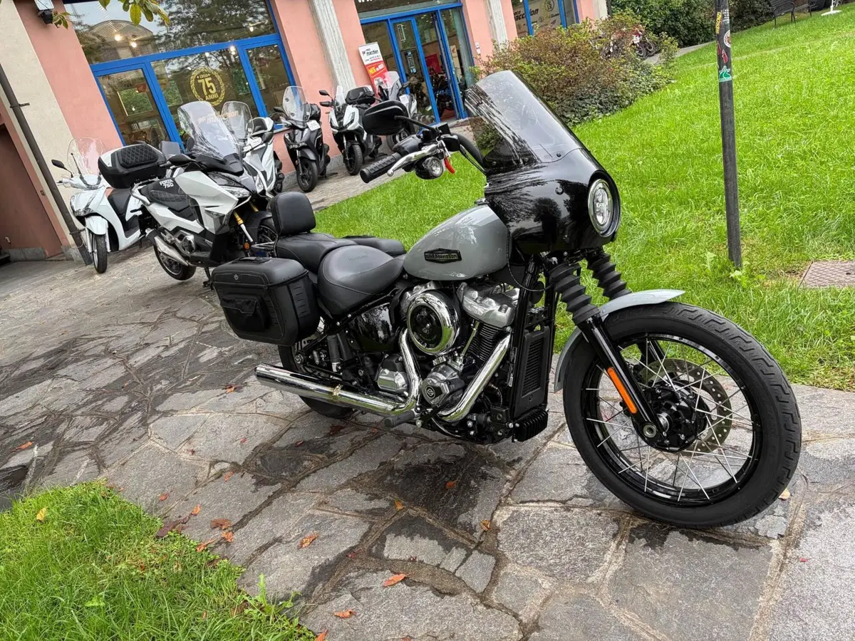 Harley-Davidson Street Bob 117 (2025 - 26) (2)