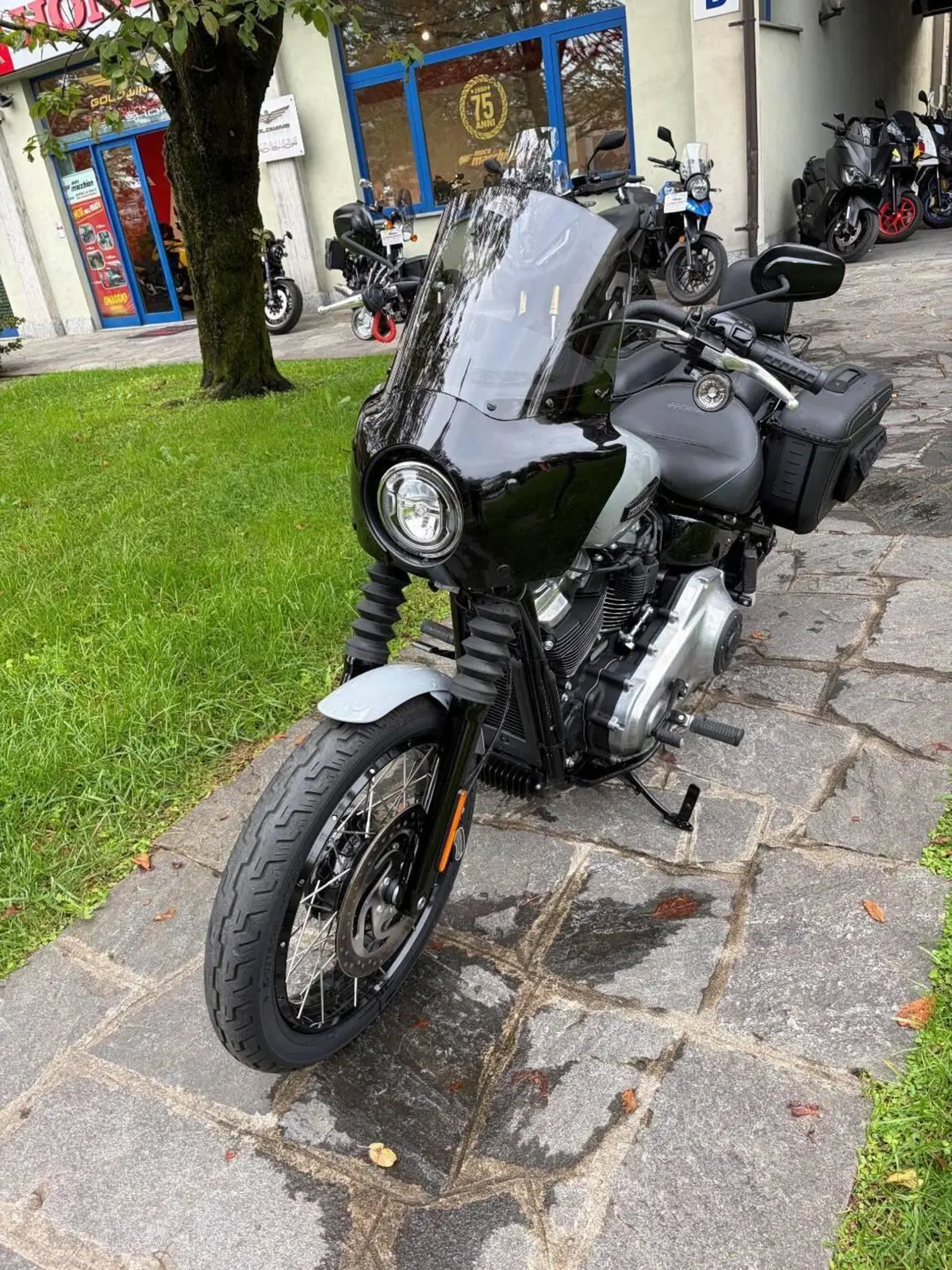 Harley-Davidson Street Bob 117 (2025 - 26) (3)