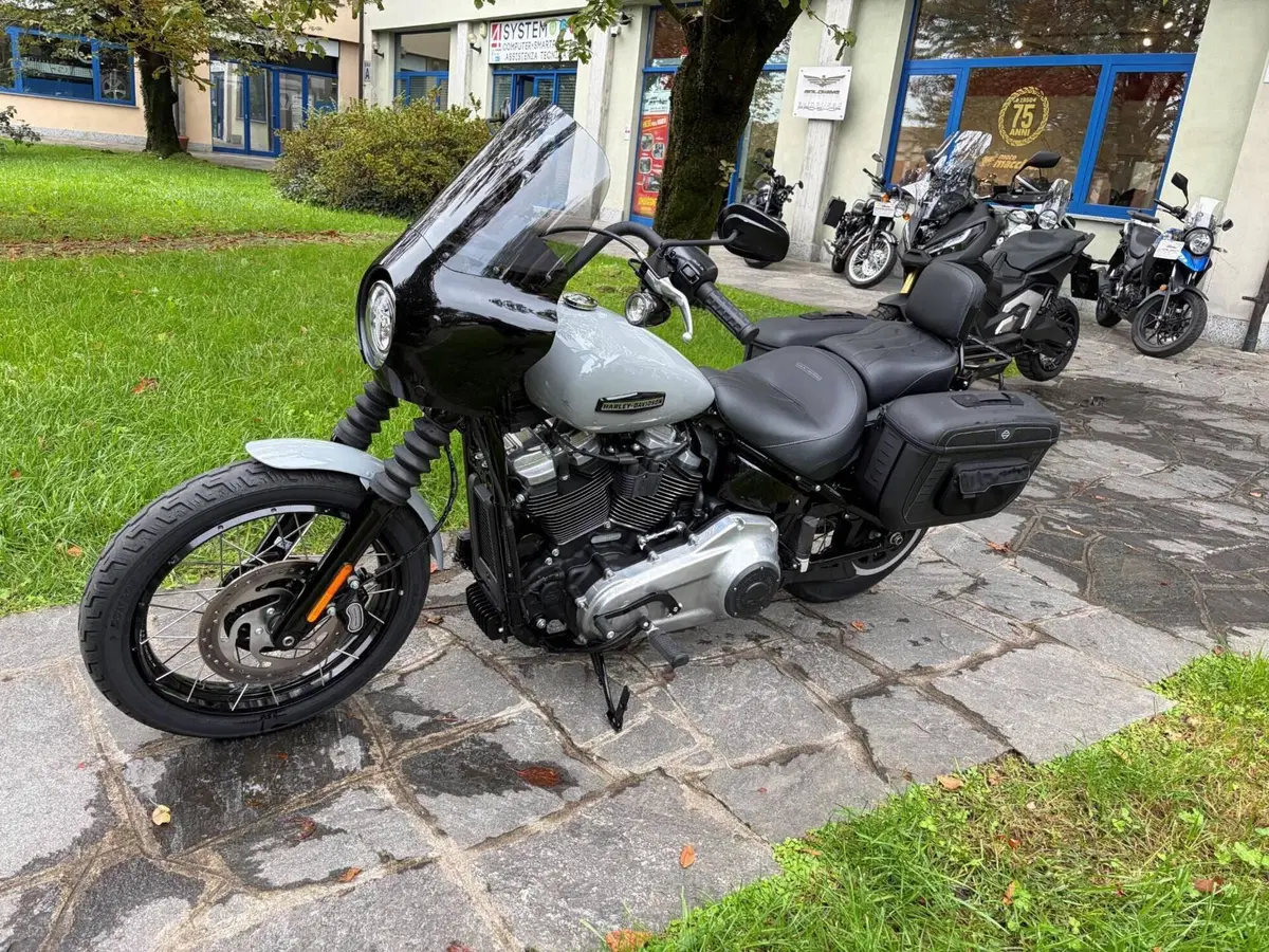 Harley-Davidson Street Bob 117 (2025 - 26) (4)