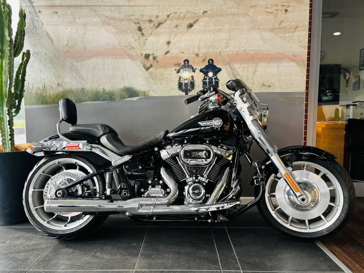 Harley-Davidson Fat Boy 114 (2021 - 24)