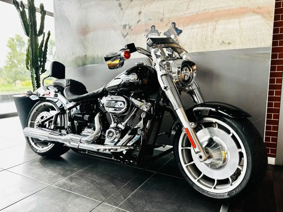 Harley-Davidson Fat Boy 114 (2021 - 24) (2)
