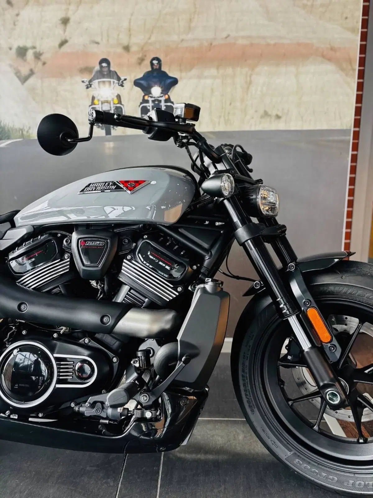 Harley-Davidson Sportster S (2025 - 26) (3)