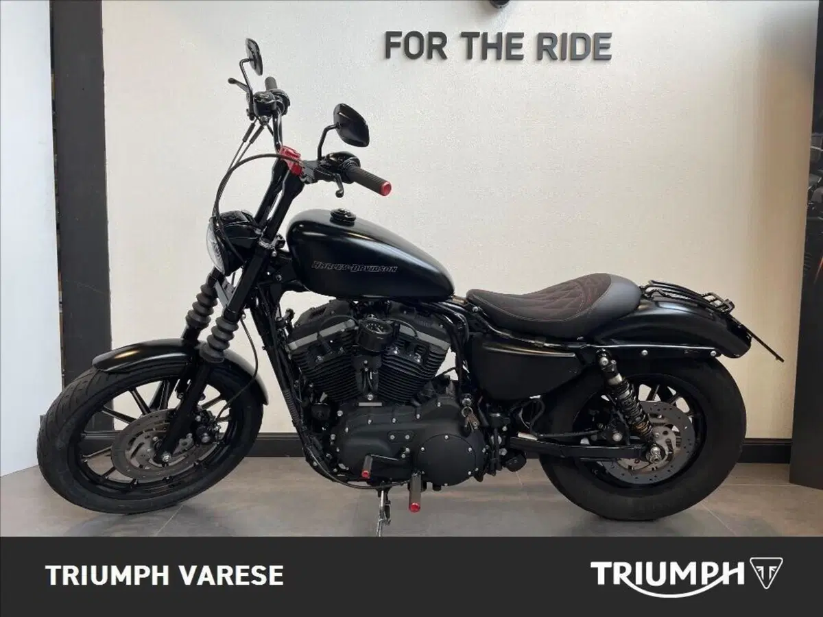 Harley-Davidson 883 Iron (2009 - 11) - XL 883N (3)