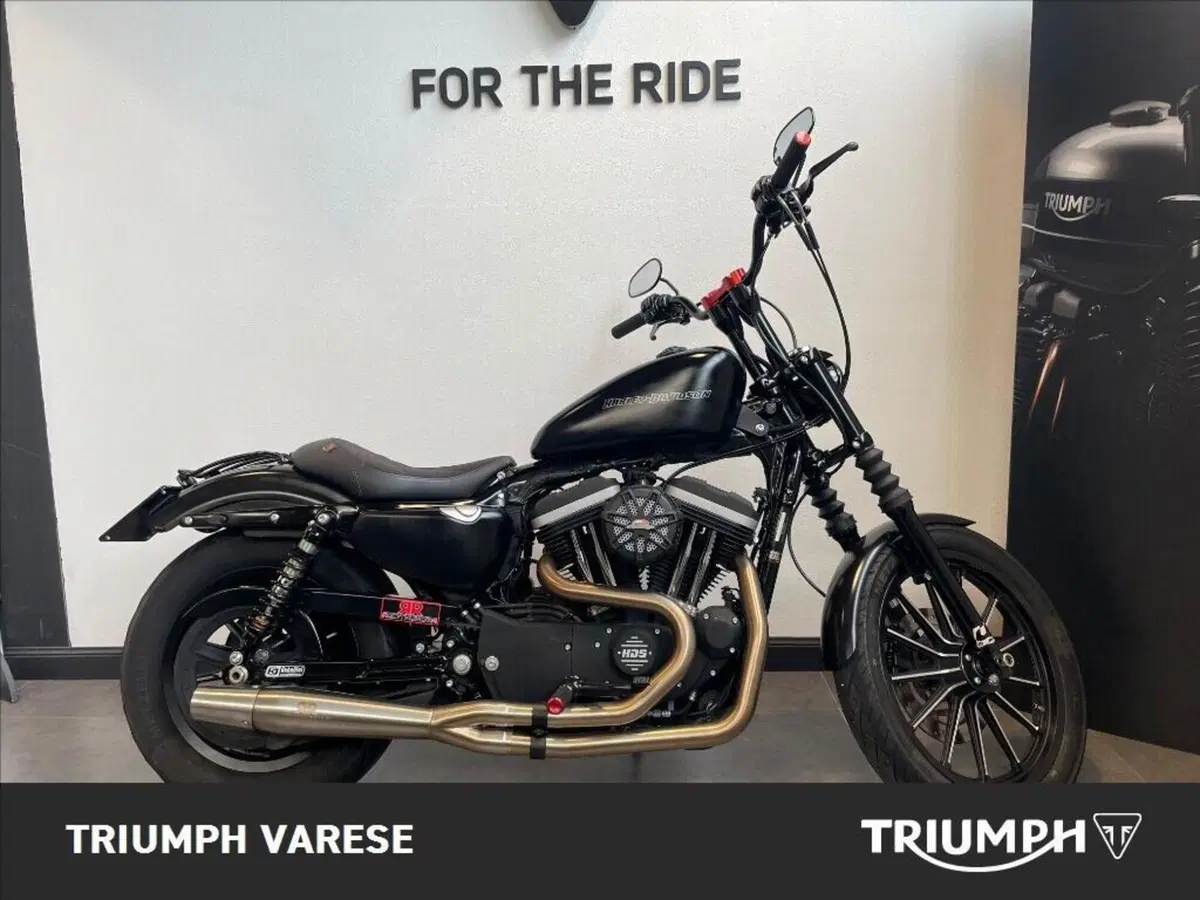 Harley-Davidson 883 Iron (2009 - 11) - XL 883N