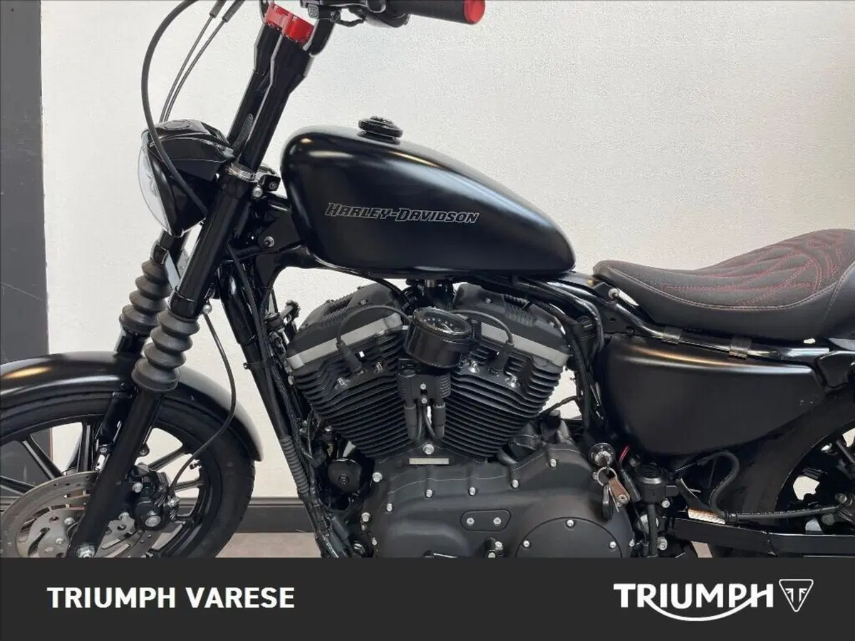 Harley-Davidson 883 Iron (2009 - 11) - XL 883N (5)