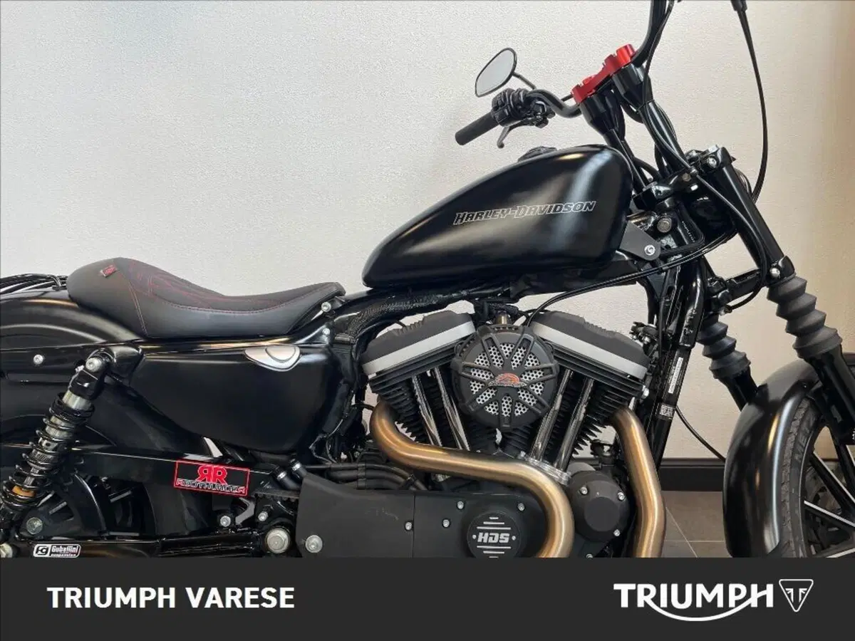Harley-Davidson 883 Iron (2009 - 11) - XL 883N (9)