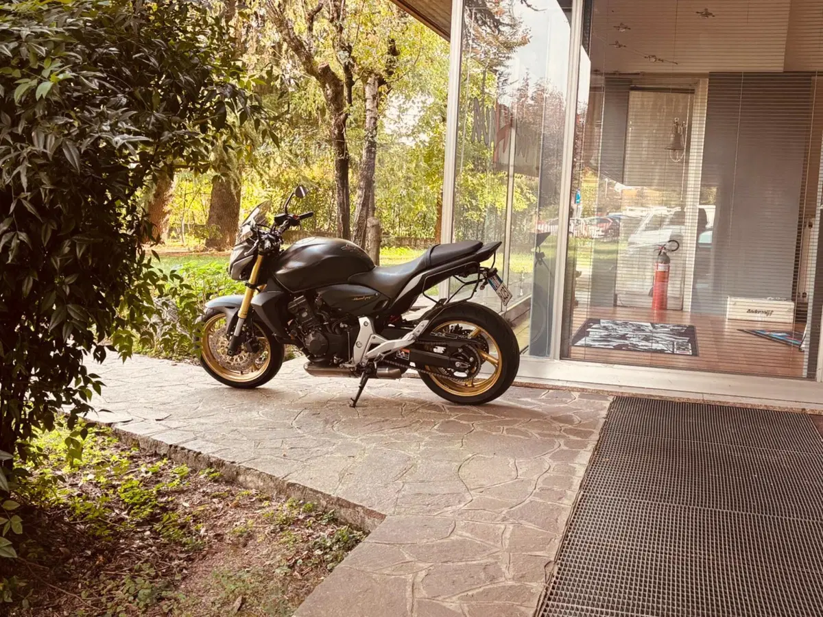 Honda Hornet 600 (2011 - 13) (10)
