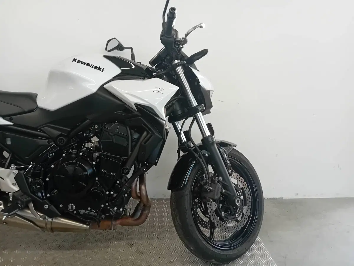 Kawasaki Z 650 (2025 - 26) (7)