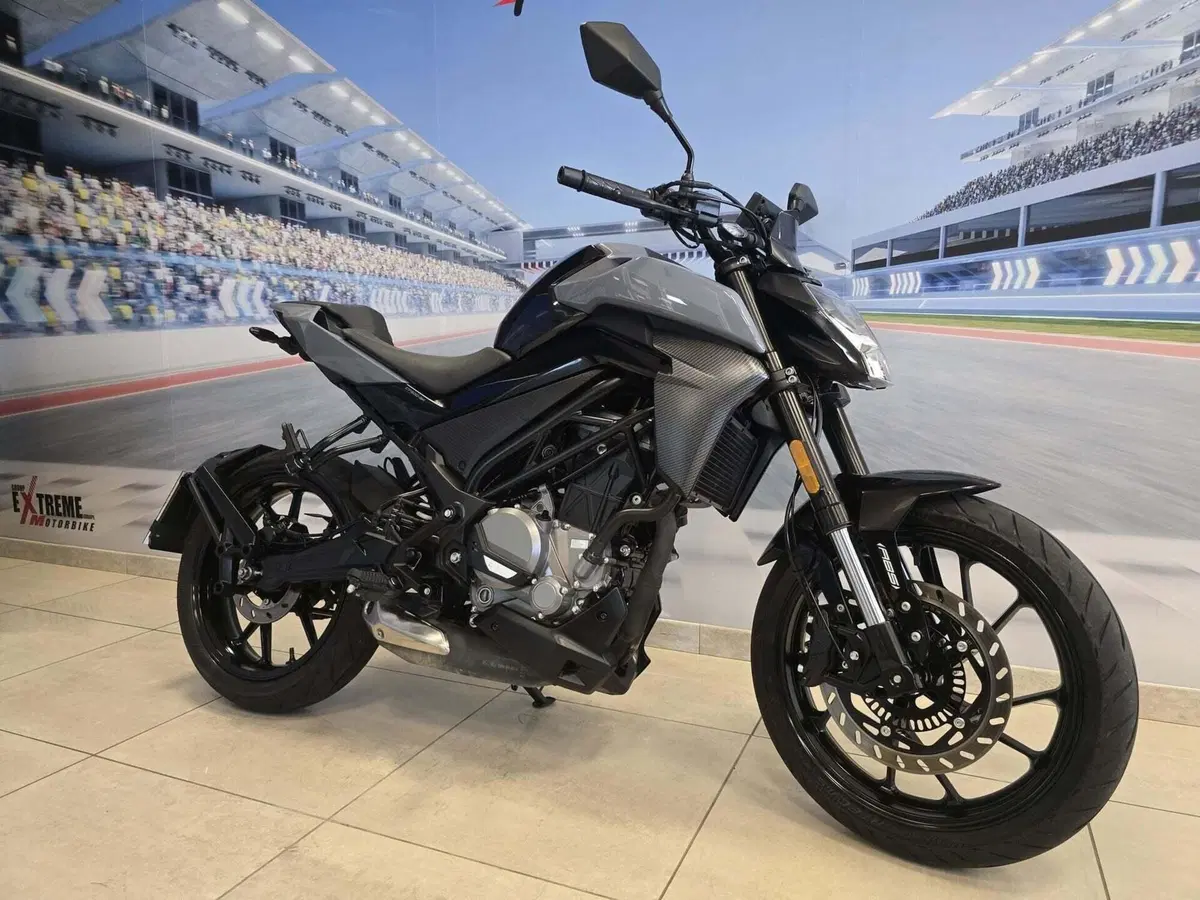 CFMOTO 300NK (2021 - 26) (2)