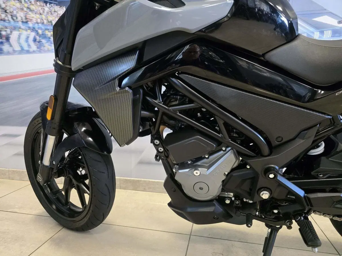 CFMOTO 300NK (2021 - 26) (9)