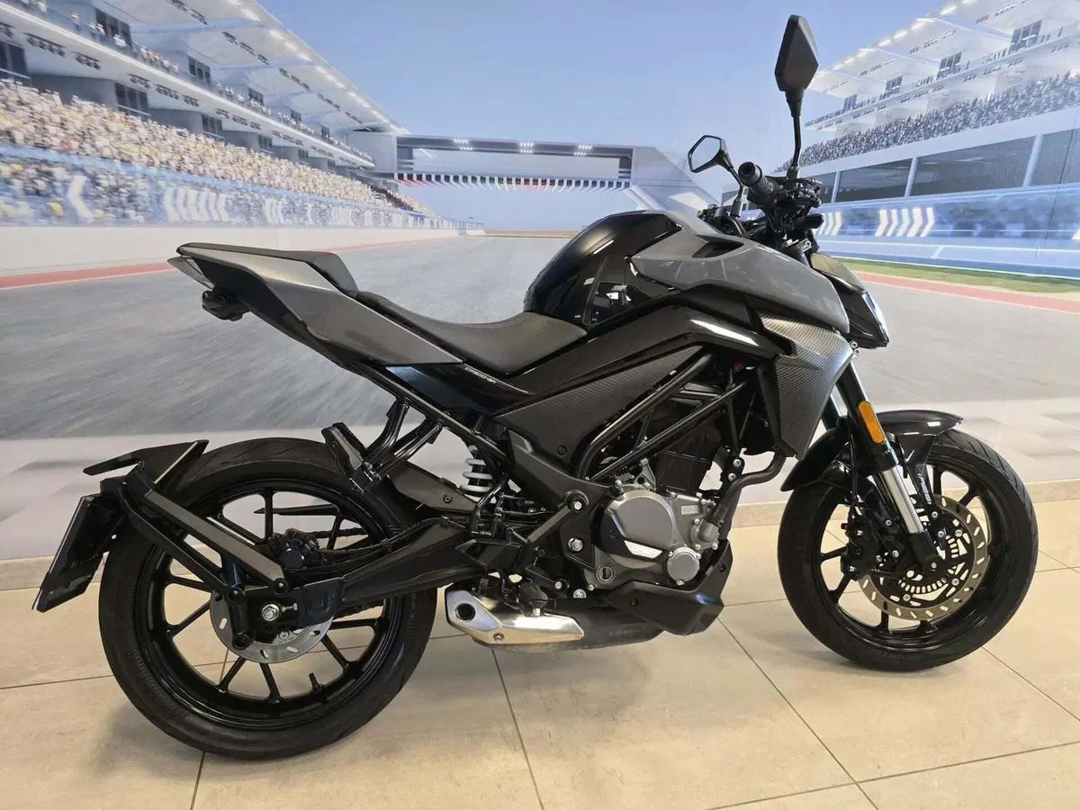 CFMOTO 300NK (2021 - 26) (17)